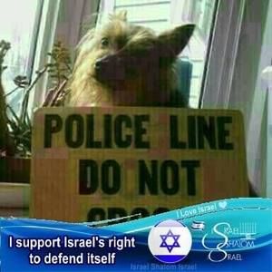 Meet your Posher, Gloria